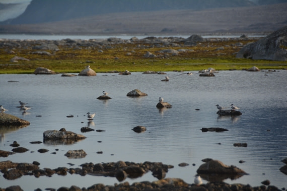 PLA11-24, Day 2, DSC_0213 © Paolo Bellezze - Oceanwide Expeditions.JPG