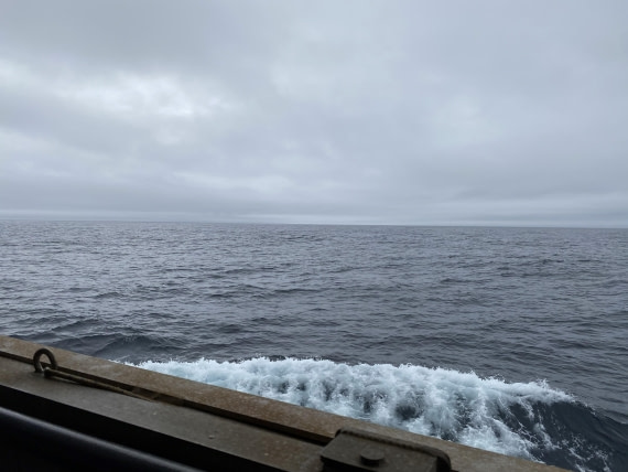 PLA11-24, Day 3,  IMG_6598 © Unknown photographer - Oceanwide Expeditions.jpg