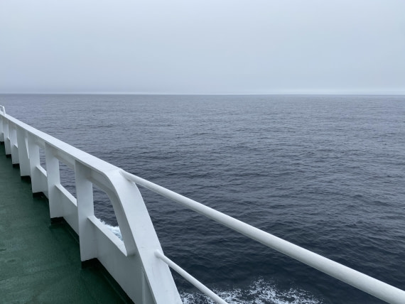 PLA11-24, Day 3,  IMG_6602 © Unknown photographer - Oceanwide Expeditions.jpg