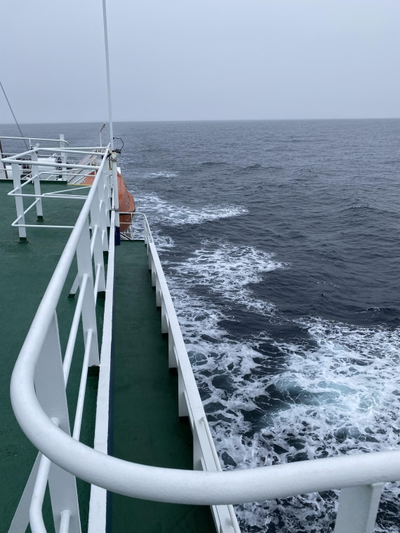 PLA11-24, Day 3,  IMG_6604 © Unknown photographer - Oceanwide Expeditions.jpg