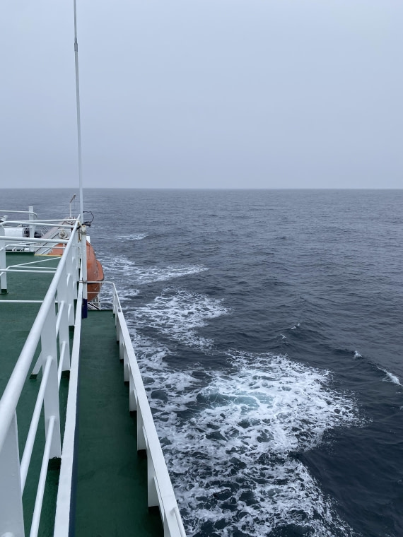 PLA11-24, Day 3,  IMG_6605 © Unknown photographer - Oceanwide Expeditions.jpg