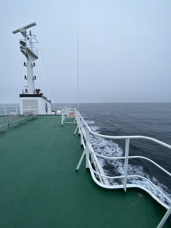 PLA11-24, Day 3,  IMG_6606 © Unknown photographer - Oceanwide Expeditions.jpg