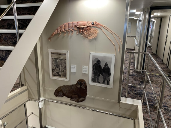 PLA11-24, Day 3,  IMG_6613 © Unknown photographer - Oceanwide Expeditions.jpg