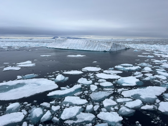 PLA11-24, Day 4,  IMG_5644 © Jess Owen - Oceanwide Expeditions.jpg