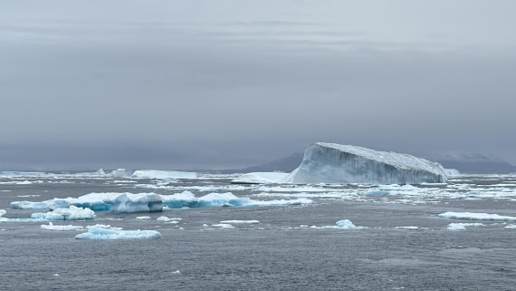 PLA11-24, Day 4,  IMG_E4628_© Ursula Tscherter © Ursula Tscherter - Oceanwide Expeditions.jpg