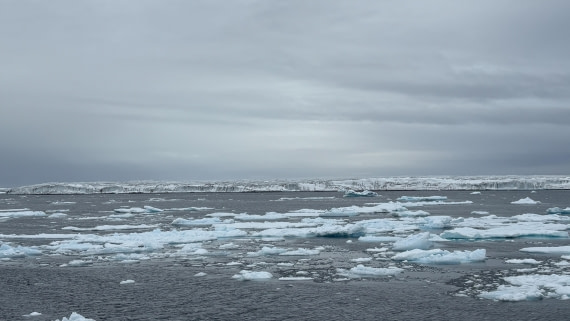 PLA11-24, Day 4,  IMG_E4620_© Ursula Tscherter © Ursula Tscherter - Oceanwide Expeditions.jpg