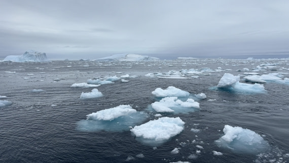 PLA11-24, Day 4,  IMG_E4631_© Ursula Tscherter © Ursula Tscherter - Oceanwide Expeditions.jpg