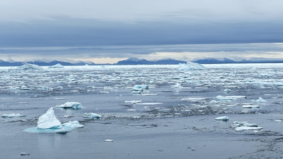 PLA11-24, Day 4,  IMG_E4641_© Ursula Tscherter © Ursula Tscherter - Oceanwide Expeditions.jpg