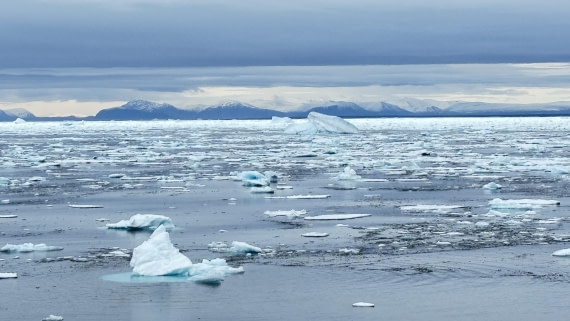 PLA11-24, Day 4,  IMG_E4643_© Ursula Tscherter © Ursula Tscherter - Oceanwide Expeditions.jpg