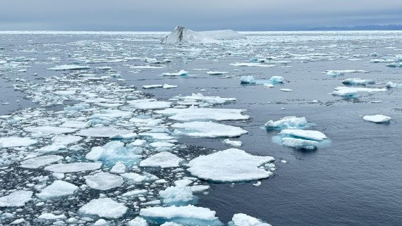 PLA11-24, Day 4,  IMG_E4645_© Ursula Tscherter © Ursula Tscherter - Oceanwide Expeditions.jpg