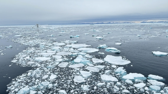 PLA11-24, Day 4,  IMG_E4648_© Ursula Tscherter © Ursula Tscherter - Oceanwide Expeditions.jpg