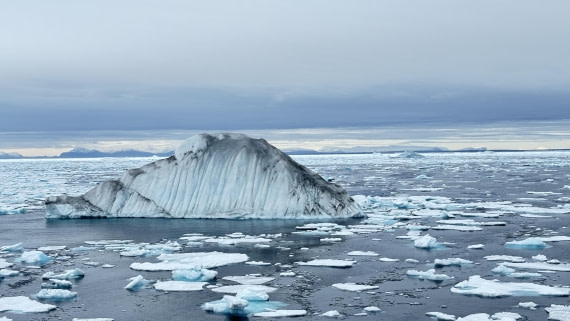 PLA11-24, Day 4,  IMG_E4656_© Ursula Tscherter © Ursula Tscherter - Oceanwide Expeditions.jpg
