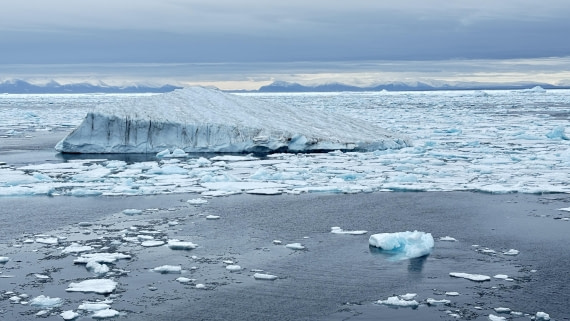 PLA11-24, Day 4,  IMG_E4665_© Ursula Tscherter © Ursula Tscherter - Oceanwide Expeditions.jpg