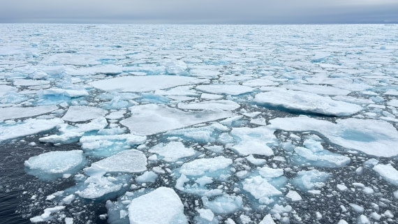 PLA11-24, Day 4,  IMG_E4678_© Ursula Tscherter © Ursula Tscherter - Oceanwide Expeditions.jpg