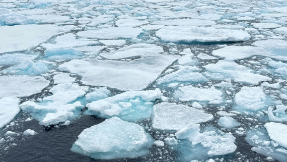 PLA11-24, Day 4,  IMG_E4681_© Ursula Tscherter © Ursula Tscherter - Oceanwide Expeditions.jpg