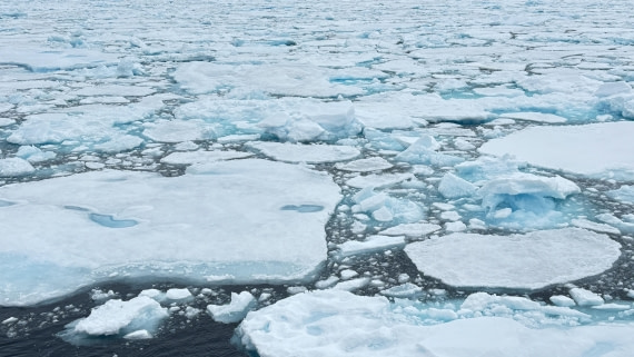 PLA11-24, Day 4,  IMG_E4682_© Ursula Tscherter © Ursula Tscherter - Oceanwide Expeditions.jpg