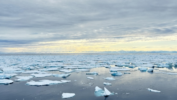 PLA11-24, Day 4,  IMG_E4695_© Ursula Tscherter © Ursula Tscherter - Oceanwide Expeditions.jpg