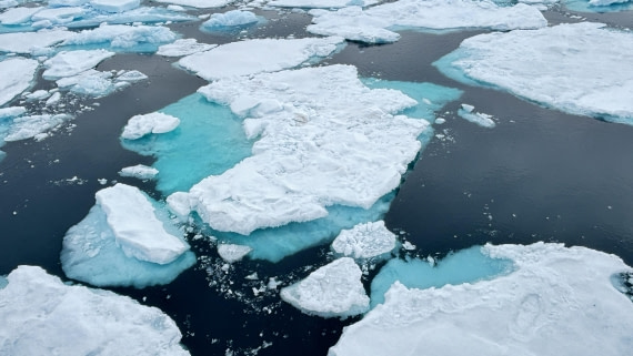 PLA11-24, Day 4,  IMG_E4700_© Ursula Tscherter © Ursula Tscherter - Oceanwide Expeditions.jpg