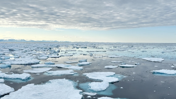 PLA11-24, Day 4,  IMG_E4704_© Ursula Tscherter © Ursula Tscherter - Oceanwide Expeditions.jpg