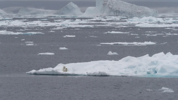 PLA11-24, Day 4, _1010174_© Ursula Tscherter © Ursula Tscherter - Oceanwide Expeditions.JPG