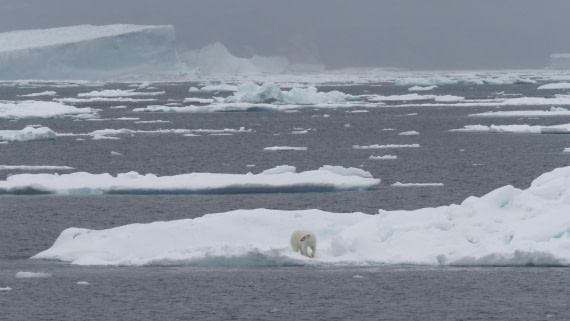 PLA11-24, Day 4, _1010184_© Ursula Tscherter © Ursula Tscherter - Oceanwide Expeditions.JPG