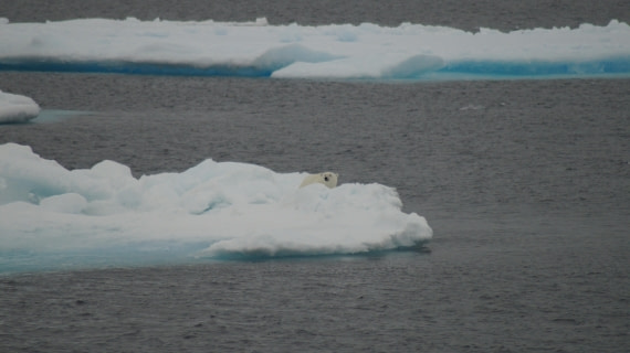 PLA11-24, Day 4, DSC07698 © Jess Owen - Oceanwide Expeditions.JPG