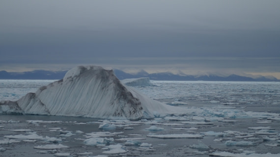 PLA11-24, Day 4, DSC07781 © Jess Owen - Oceanwide Expeditions.JPG