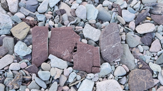 PLA11-24, Day 5,  IMG_E4864_© Ursula Tscherter © Ursula Tscherter - Oceanwide Expeditions.jpg