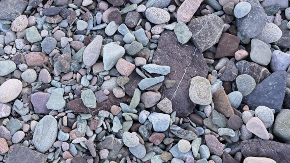 PLA11-24, Day 5,  IMG_E4865_© Ursula Tscherter © Ursula Tscherter - Oceanwide Expeditions.jpg