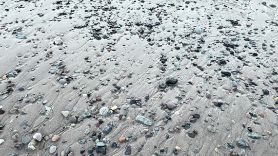 PLA11-24, Day 5,  IMG_E4873_© Ursula Tscherter © Ursula Tscherter - Oceanwide Expeditions.jpg