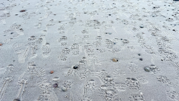 PLA11-24, Day 5,  IMG_E4876_© Ursula Tscherter © Ursula Tscherter - Oceanwide Expeditions.jpg