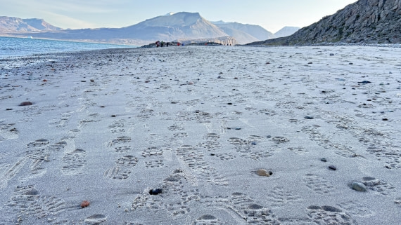 PLA11-24, Day 5,  IMG_E4878_© Ursula Tscherter © Ursula Tscherter - Oceanwide Expeditions.jpg