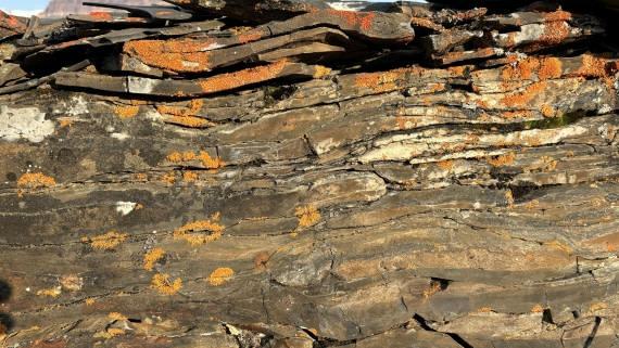 PLA11-24, Day 6,  IMG_E4907_© Ursula Tscherter (2) © Ursula Tscherter - Oceanwide Expeditions.jpg