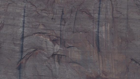 PLA11-24, Day 7, _1010089_© Ursula Tscherter © Ursula Tscherter - Oceanwide Expeditions.JPG