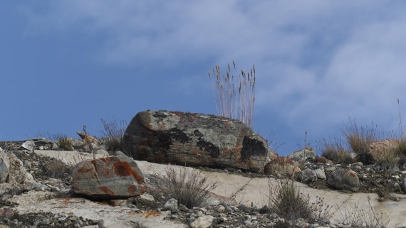 PLA11-24, Day 7, _1010665_© Ursula Tscherter © Ursula Tscherter - Oceanwide Expeditions.JPG