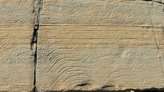 PLA11-24, Day 8,  IMG_E5497_© Ursula Tscherter © Ursula Tscherter - Oceanwide Expeditions.jpg