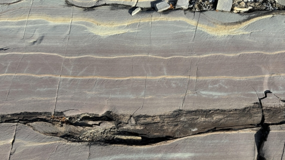 PLA11-24, Day 8,  IMG_E5503_© Ursula Tscherter © Ursula Tscherter - Oceanwide Expeditions.jpg