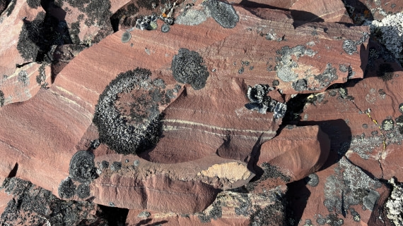 PLA11-24, Day 8,  IMG_E5506_© Ursula Tscherter © Ursula Tscherter - Oceanwide Expeditions.jpg