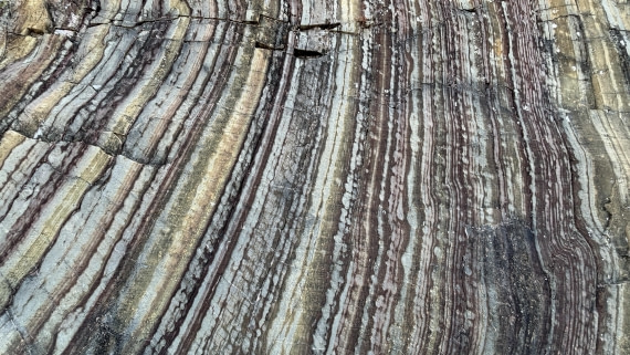 PLA11-24, Day 8,  IMG_E5514_© Ursula Tscherter © Ursula Tscherter - Oceanwide Expeditions.jpg