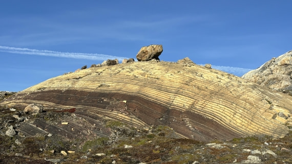 PLA11-24, Day 8,  IMG_E5564_© Ursula Tscherter © Ursula Tscherter - Oceanwide Expeditions.jpg
