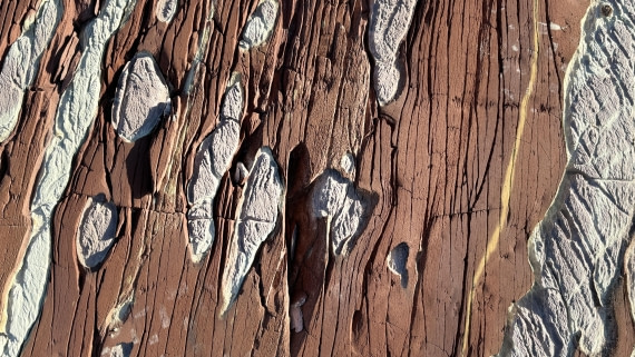 PLA11-24, Day 8,  IMG_E5650_© Ursula Tscherter © Ursula Tscherter - Oceanwide Expeditions.jpg