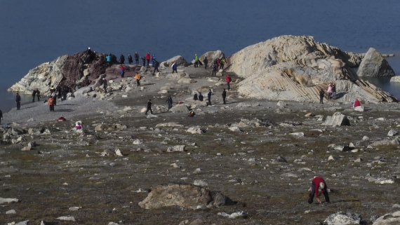 PLA11-24, Day 8, _1010007_© Ursula Tscherter © Ursula Tscherter - Oceanwide Expeditions.JPG