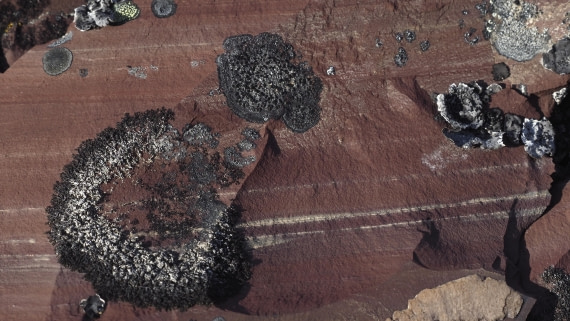 PLA11-24, Day 8, _1010097_© Ursula Tscherter © Ursula Tscherter - Oceanwide Expeditions.JPG