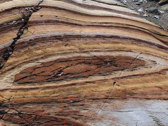 PLA11-24, Day 8, Bullseye rock © John Rogers - Oceanwide Expeditions.JPG