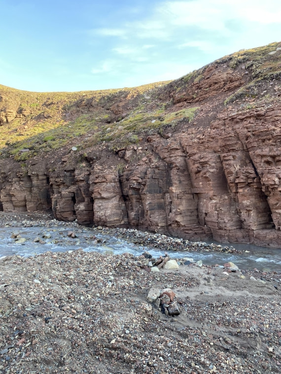 PLA11-24, Day 9,  IMG_6834 © Unknown photographer - Oceanwide Expeditions.jpg