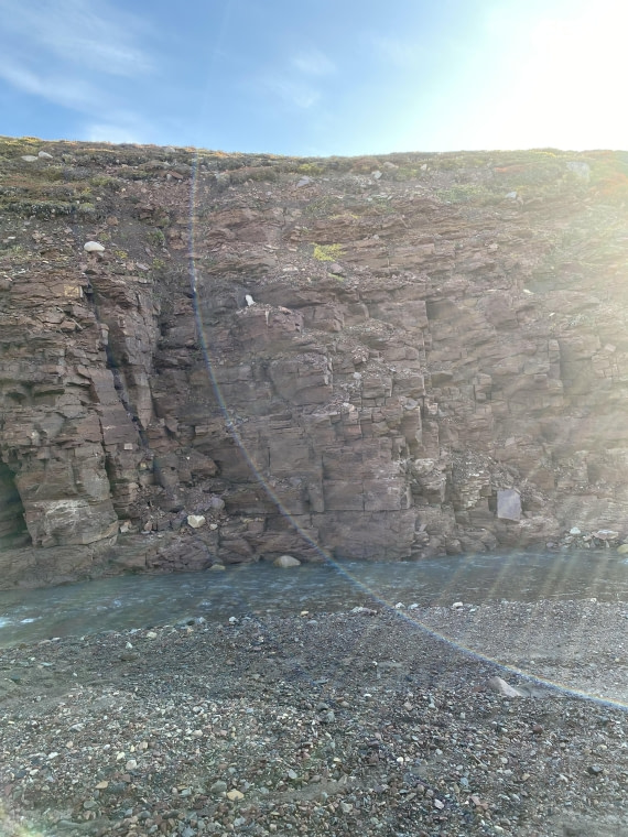 PLA11-24, Day 9,  IMG_6835 © Unknown photographer - Oceanwide Expeditions.jpg