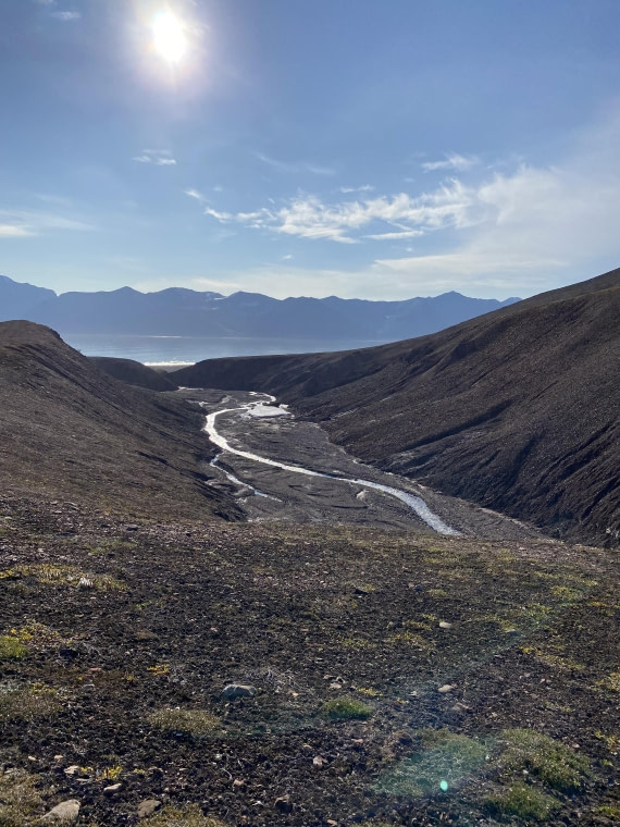 PLA11-24, Day 9,  IMG_6837 © Unknown photographer - Oceanwide Expeditions.jpg