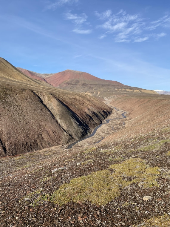 PLA11-24, Day 9,  IMG_6838 © Unknown photographer - Oceanwide Expeditions.jpg