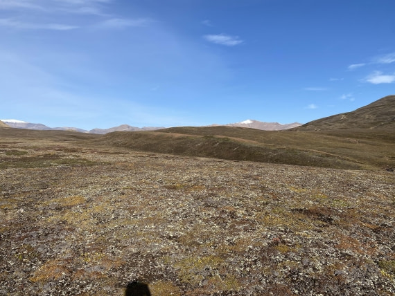 PLA11-24, Day 9,  IMG_6839 © Unknown photographer - Oceanwide Expeditions.jpg