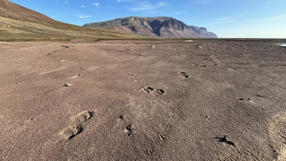 PLA11-24, Day 9,  IMG_E5737_© Ursula Tscherter © Ursula Tscherter - Oceanwide Expeditions.jpg
